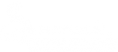 Natural Stone Source Inc Logo